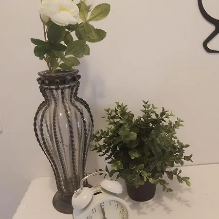 Πανσιόν Bogage Boutique House *
